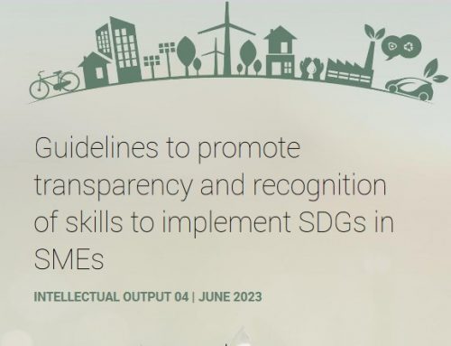 Guidelines to promote transparency and recognition of skills to implement SDGs in SMEs